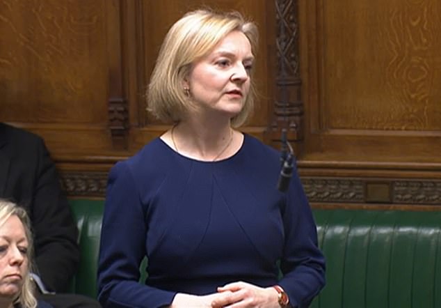 En su primer discurso en la Cámara de los Comunes desde que renunció como primer ministro, Liz Truss dijo que Gran Bretaña y otros aliados