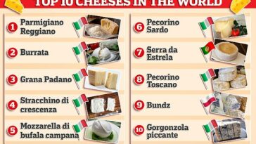 Ocho de los diez quesos mejor valorados del mundo proceden de Italia, según el ranking de Taste Atlas