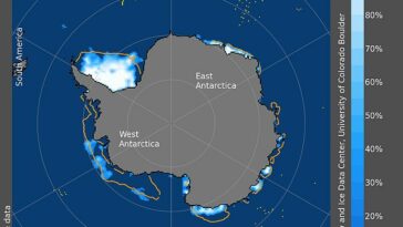 En la imagen: concentración de hielo marino en la Antártida el 13 de febrero de 2022. Las áreas bajas de concentración de hielo marino se representan como azules más oscuros y la línea naranja muestra la extensión media de 1981 a 2010 para ese día
