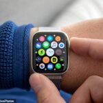 Los niños que usan un Apple Watch ahora pueden ser rastreados en tiempo real por los padres (imagen de archivo)