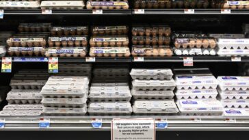 Los precios de los huevos al por mayor han 'colapsado'.  Por qué los consumidores pronto verán alivio