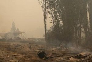 Más de 300 incendios continúan activos en Chile, con 425.000 hectáreas quemadas