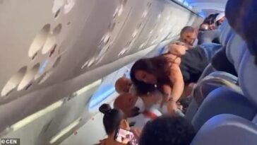 El impactante video muestra a una mujer con cabello rizado tratando de saltar a los asientos detrás de ella para alcanzar a otro pasajero, pero un asistente de vuelo masculino la detiene.