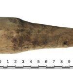 Investigadores han descubierto un extraño artefacto de madera en el fuerte romano de Vindolanda que creen que pudo haber sido utilizado durante el sexo.