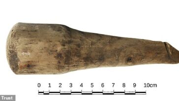 Investigadores han descubierto un extraño artefacto de madera en el fuerte romano de Vindolanda que creen que pudo haber sido utilizado durante el sexo.