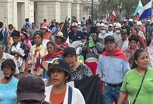 Perú: Protestas antigubernamentales son pacíficas-Defensoría del Pueblo