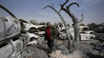'Quemaron todo': los colonos israelíes incendian casas y automóviles palestinos después del ataque en Cisjordania