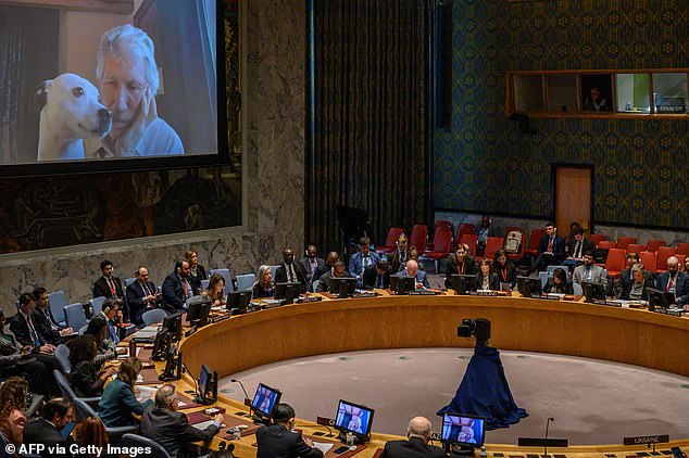 El cofundador de Pink Floyd, Roger Waters, dijo al Consejo de Seguridad de las Naciones Unidas que la invasión de Rusia