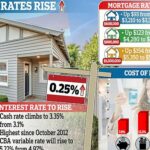 Los prestatarios de viviendas australianos han sido aplastados con un noveno aumento consecutivo de la tasa de interés con el Banco de la Reserva aumentando la tasa de efectivo a un nuevo máximo de 10 años del 3,35 por ciento.