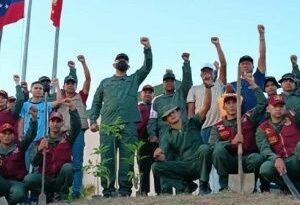 Venezuela reforesta en zonas fronterizas afectadas por minería ilegal