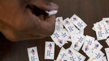 Los estadounidenses mantienen la esperanza en la democracia a pesar de los temores de su desaparición, y están actuando con esa esperanza |  La crónica de Michigan