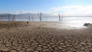 Túnez corta el suministro de agua por la noche en medio de una grave sequía |  The Guardian Nigeria Noticias