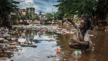 Brote de cólera en Malawi es el más grande del continente: OMS |  The Guardian Nigeria Noticias