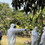 Camboya dice que los casos recientes de gripe aviar no son propagados por humanos