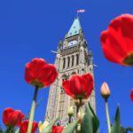 Canadá anuncia nuevo apoyo migratorio para ciudadanos turcos y sirios