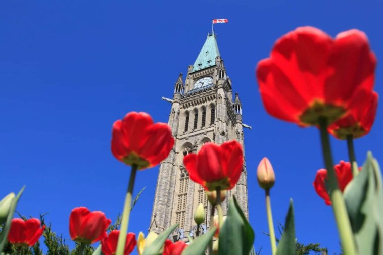 Canadá anuncia nuevo apoyo migratorio para ciudadanos turcos y sirios