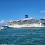 Un pasajero de un crucero hizo colapsar un transatlántico de vacaciones después de generar temores de que se había caído por la borda durante una disputa doméstica.