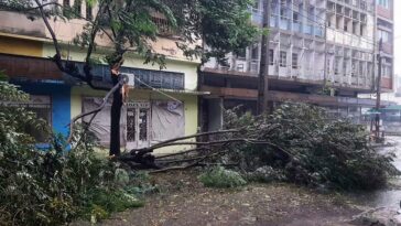 Ciclón mortal Freddy azota Mozambique por segunda vez