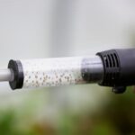 Científicos sudafricanos usan insectos en la guerra contra la hierba jacinto de agua