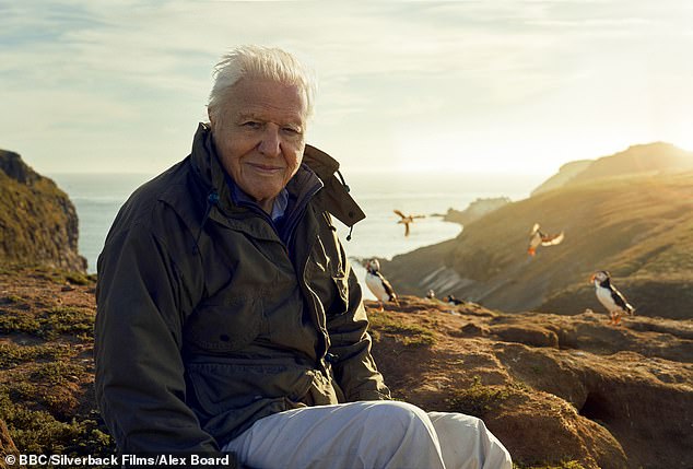 Sir David Attenborough está mostrando lo que tenemos en nuestra propia puerta ¿y es Gran Bretaña como nunca la has visto?
