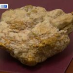 Un buscador aficionado desenterró una pepita de oro de 4,6 kilogramos valorada en 240.000 dólares (en la foto)
