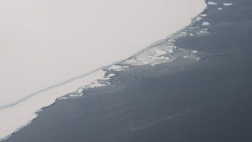 Enorme: dos de los icebergs más grandes del mundo, incluido uno del tamaño del Gran Londres (en la foto) y uno aún más grande del tamaño de Cornualles, están siendo monitoreados por científicos británicos.