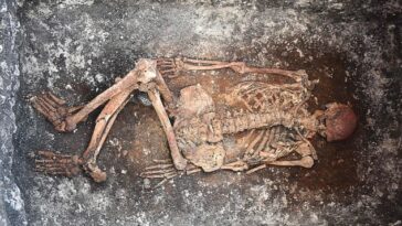 Los investigadores dicen que han identificado a los jinetes más antiguos al buscar pequeños cambios en la estructura esquelética de los restos humanos antiguos.