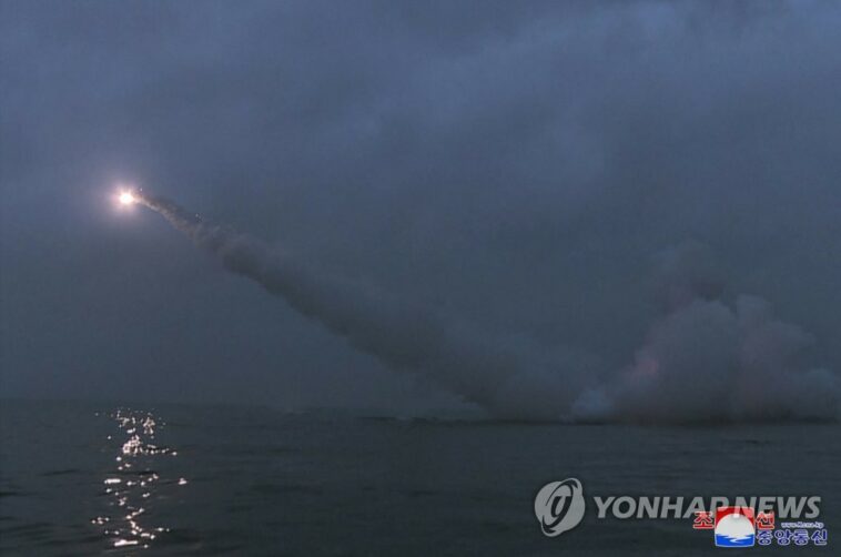 N. Korean provocation cannot stop U.S.-S. Korea joint military drills: NSC coordinator