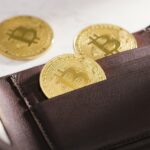 Los 10.000 principales inversores de Bitcoin controlan un tercio del suministro