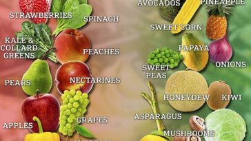 Más del 90 por ciento de las muestras de fresas, manzanas, cerezas, espinacas, nectarinas y uvas tenían al menos dos pesticidas, encontró el EWG