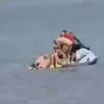 Hasta seis nadadores se amontonaron en una moto de agua salvavidas (arriba) después de que sonara una alarma de tiburón en Manly Beach