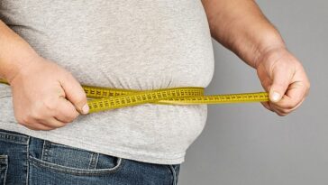 Usar la frase 'pig out' ya no es aceptable, ya que hace que las personas obesas se sientan como animales, según las nuevas pautas de la Asociación Dietética Británica (imagen de archivo)