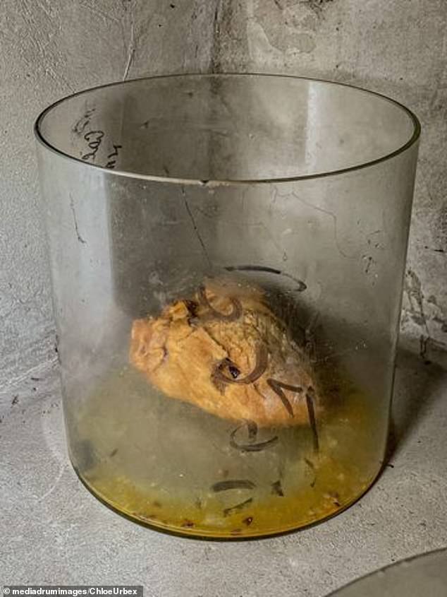 Una imagen vil mostraba un corazón humano que se dejaba pudrir en un frasco sin tapa.  El órgano arrugado y moldeado ha estado allí durante 13 años desde que se abandonó la morgue.