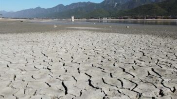 Sequía en México: 16 estados sin agua en todos sus municipios
