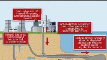 ¿Qué es la captura de carbono?  La tecnología en el corazón de la estrategia del gobierno para 'potenciar Gran Bretaña'