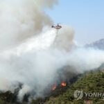 (2nd LD) Yoon orders all-out efforts against spring wildfires