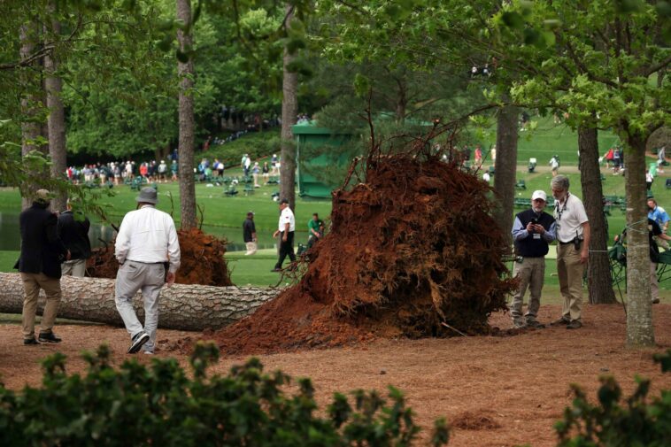 87th Masters: Koepka toma una ventaja de tres golpes cuando la caída de árboles interrumpe la segunda ronda - Noticias de golf |  Revista de golf