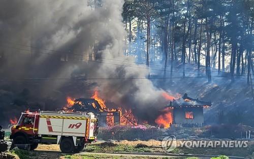 (5th LD) One dies in massive wildfire in eastern coastal city