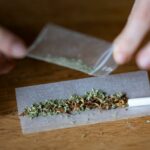 Alemania diluye el plan para legalizar el cannabis después de las conversaciones con la UE