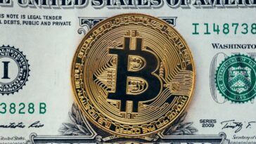 Bitcoin mueve el mercado de las criptomonedas.  Su dependencia del dólar estadounidense aumentó.