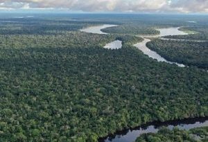 Brasil propone cumbre de países amazónicos para debatir acción climática
