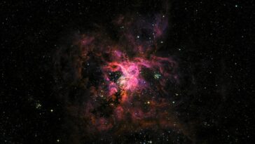 Fascinante: científicos británicos han ayudado a capturar increíbles fotografías de galaxias utilizando un globo del tamaño de un estadio de fútbol.  En la imagen: la vibrante nebulosa rosa de la Tarántula, la gran región de formación estelar que se encuentra a 161 000 años luz de la Tierra.