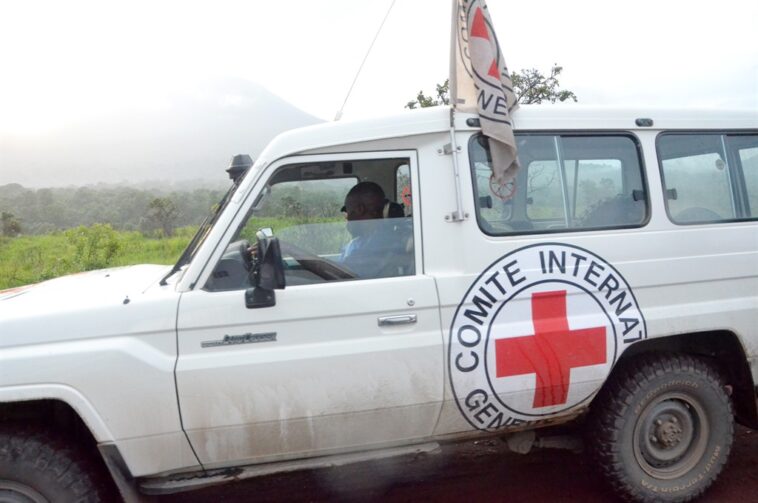 The International Committee of the Red Cross has identified 524 armed groups and militias in Africa and beyond that were responsible for the insecurity of at least 175 million civilians.