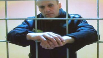 Según los informes, Navalny enfermó el viernes pasado cuando lo sacaron de la celda de castigo después de 15 días y lo colocaron en una celda convencional.  En la imagen: se ve a Navalny a través de un enlace de video desde la colonia penal correccional IK-2 en Pokrov durante una audiencia judicial, el 24 de mayo de 2022.