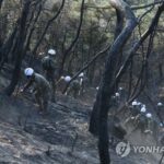 Last-ditch efforts under way to contain wildfire in central Seoul