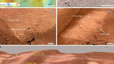 Análisis: el rover Zhurong de China, que aterrizó en Marte en 2021, detectó evidencias de esta agua líquida en dunas de arena en latitudes bajas, es decir, hacia el ecuador y lejos de sus polos.