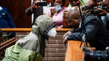 Fugitivo de jailbreak aparece en corte sudafricana |  The Guardian Nigeria Noticias