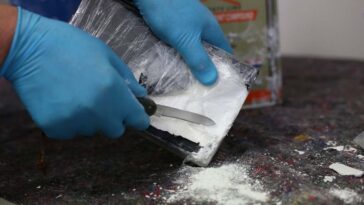 Guinea incauta 1,5 toneladas de cocaína |  The Guardian Nigeria Noticias