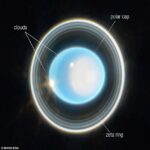 El telescopio espacial James Webb de la NASA (JWST) de la NASA compartió su primer vistazo a Urano, revelando 11 de los 13 anillos del planeta, su casquete solar único y nubes brillantes.