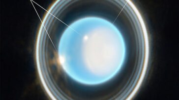 El telescopio espacial James Webb de la NASA (JWST) de la NASA compartió su primer vistazo a Urano, revelando 11 de los 13 anillos del planeta, su casquete solar único y nubes brillantes.